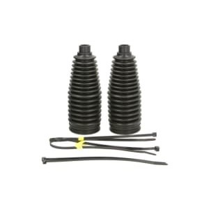 Ansamblu burduf, directie DELPHI