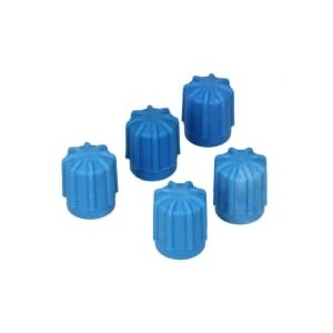 Capac, supapa service SANTECH