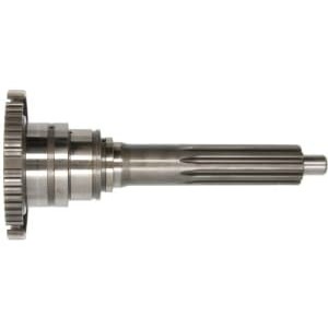 Arbore intrare, cutie de viteza C.E.I