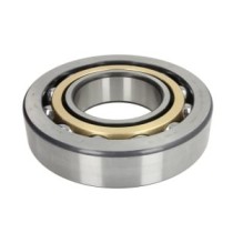 Lagar FAG Bearings