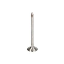 Supapa evacuare FRECCIA