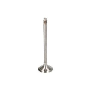 Supapa evacuare FRECCIA