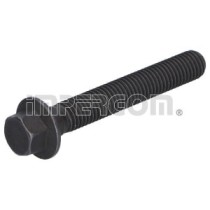 Set surub, disc curea-arbore cotit IMPERGOM