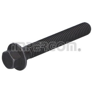 Set surub, disc curea-arbore cotit IMPERGOM