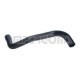 Furtun radiator IMPERGOM FORD FOCUS (DAW, DBW) 1.8 DI / TDDI inferior dreapta cauciuc