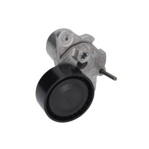 Intinzator,curea transmisie INA