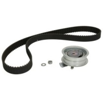 Set curea de distributie INA