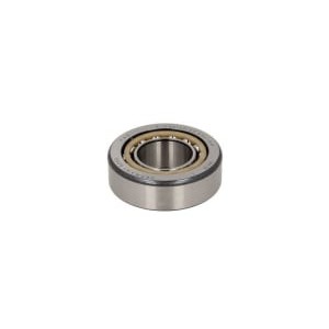 Rulment, diferentia INA