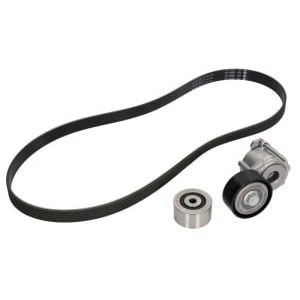 Set curea transmisie cu caneluri INA