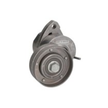 Intinzator,curea transmisie INA