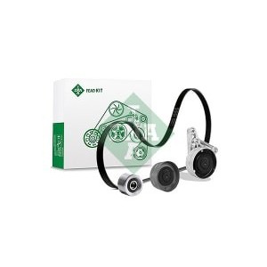 Set curea transmisie cu caneluri INA