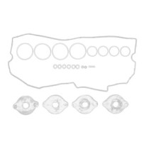 Set garnituri, Capac supape OE AGCO