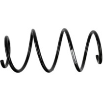 Arcuri elicoidale SACHS