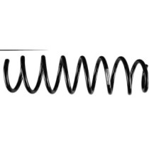 Arcuri elicoidale SACHS