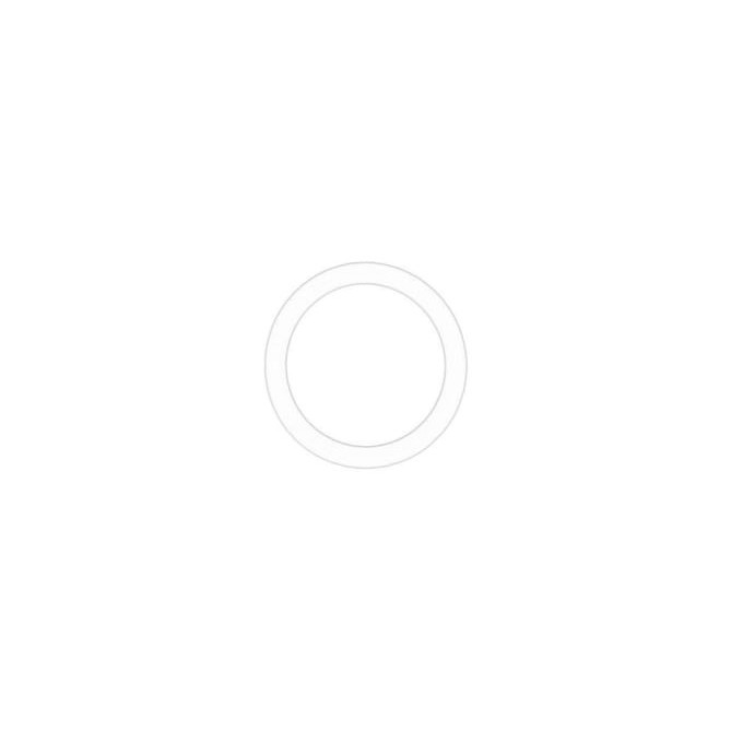 Inel etansare, radiator ulei OE BMW