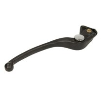 Maneta, ghidon VICMA