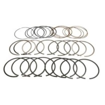 Set segmenti piston DNJ