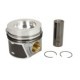 Piston KOLBENSCHMIDT 81,01 mm STD pentru AUDI A4 ALLROAD B9, A4 B9, A5, A6 C8, Q2, Q3, Q5; SEAT ATECA, TARRACO; SKODA KAROQ, KODIAQ, SUPERB III; VW ARTEON