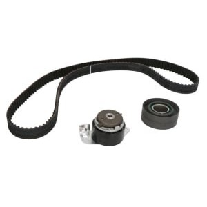 Set curea de distributie INA