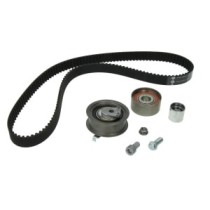 Set curea de distributie INA