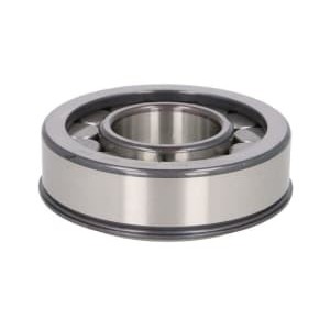 Rulment, diferentia INA