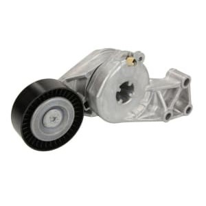 Intinzator,curea transmisie INA