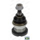 Articulatie sarcina/ghidare MOOG Pivot axa Dreapta/Stanga inferior fata diametru con 20.25mm MERCEDES M W163 02.98-06.05