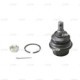 Articulatie sarcina/ghidare CTR Axle Ball Joint L/R Spate Superior SSANGYONG REXTON REXTON II 2.7D 08.04- M14xP1.5 11.3x6.3x6.3 cm