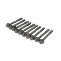 Set surub chiulasa PAYEN