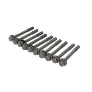 Set surub chiulasa PAYEN