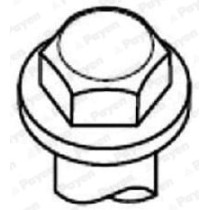 Set surub chiulasa PAYEN