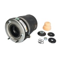 Burduf, suspensie pneumatica ARNOTT EUROPE