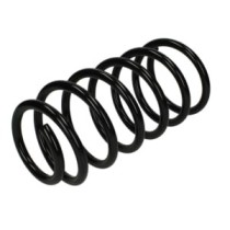 Arcuri elicoidale MAGNUM TECHNOLOGY