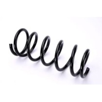 Arcuri elicoidale MAGNUM TECHNOLOGY