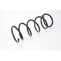 Arcuri elicoidale MAGNUM TECHNOLOGY