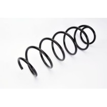 Arcuri elicoidale MAGNUM TECHNOLOGY