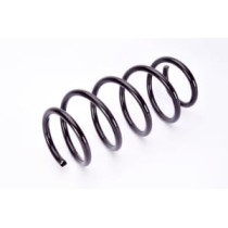 Arcuri elicoidale MAGNUM TECHNOLOGY