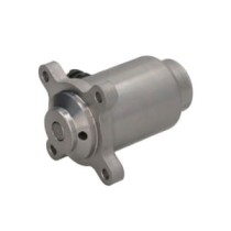 Supapa magnetica PETERS