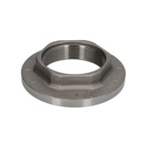 Piulita ax, planetara PETERS