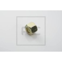 Piulita olandeza PETERS