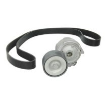 Set curea transmisie cu caneluri DAYCO