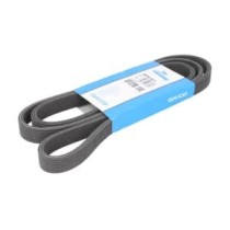 Curea transmisie cu caneluri DAYCO