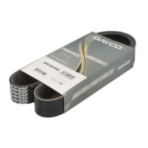 Curea transmisie cu caneluri DAYCO