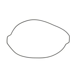 Garnitura capac ambreiaj WINDEROSA