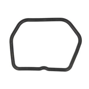 Garnitura, capac supape WINDEROSA