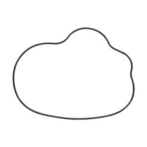 Garnitura, capac supape WINDEROSA