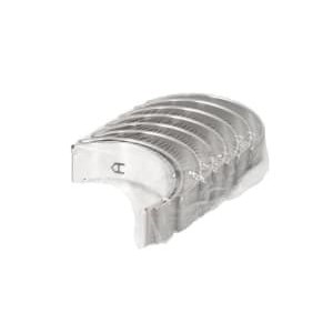 Cuzineti biela KOREA