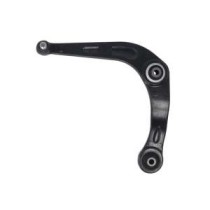 Brat, suspensie roata DELPHI