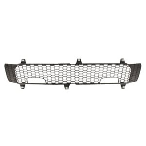 Grila radiator PACOL