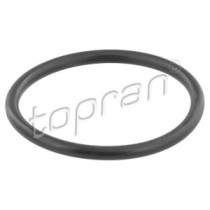 Garnitura, carcasa termostat HANS PRIES